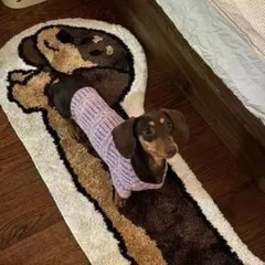 ラグ マット 犬 ダックスフンド　ペット　犬好きミニチュアダックス チョコタン