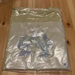 Item thumbnail for item af7dcb9e-f82e-4b07-b9cf-2127f75be7be