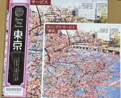 東京 サニーデイ・サービス 完全生産限定 アナログ盤 ピンク・カラーヴァイナル