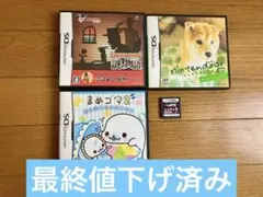 ニンテンドーDSソフト　まとめ売り　まめゴマ2 ニンテンドックス　謎の物語
