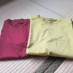 ワークマンの T シャツ 2色セットのサムネイル