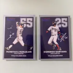 Item thumbnail for item 4256e380-3e39-48a6-bcf1-0dfb329eba95