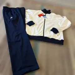 Item thumbnail for item 4312dc70-87e1-4bc1-9ff1-48ba9216e6db