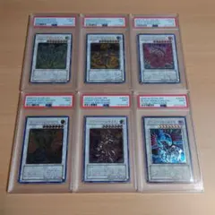 シグナードラゴンセット