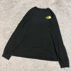 ザノースフェイス ロンT 長袖カットソー L 黒 ビッグロゴ 袖プリント メンズ