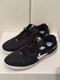 NIKE エスビーアリウープ SBAlleyoop 28cm