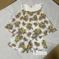 【美品】プティマイン　ボタニカル柄チュニック　パンツ　セットアップ120㎝