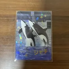 神戸須磨シーワールド コレクションカード イルカSR とシャチ レア 3枚