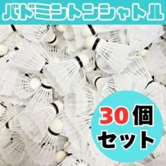 Item thumbnail for item 70aca2ad-74c5-4443-b797-0651e4d791e5