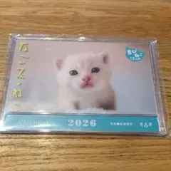 Item thumbnail for item d3f510f8-6c36-42c0-9ea0-65d83cd7503c