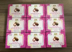 アバイブーベ　マンゴスチン石鹸　9個セット