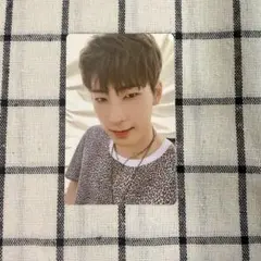 SEVENTEEN ウォヌ トレカ AnOde Real