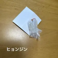 StrayKids スキズ SKZOO グミ&チャーム ジニレット