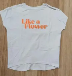 Reppi Armario Tシャツ サイズM