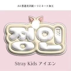 スキズ アイエン ぷっくり ネームボード オーダー 韓国 文字パネル