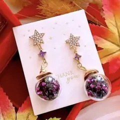 秋冬新作♪ ハロウィン ガラスドーム お洒落 ハンドメイド ピアス イヤリング