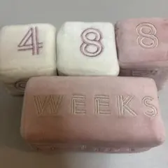 Item thumbnail for item c1daeeb4-06e1-4e19-adda-f7017dc5158b