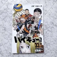 ハイキュー 漫画 33.5巻 音駒番外編
