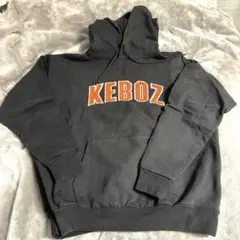 Item thumbnail for item a1dafe40-b88a-4b69-9e27-17eda4e41c21