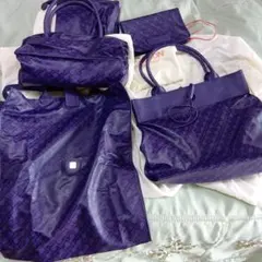 ゲラルディーニ　ハンドバッグ等5点セット