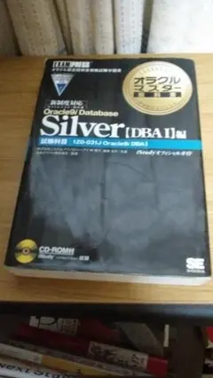 期間限定お値下げ！早い者勝ち！　SILVER　DBAI編