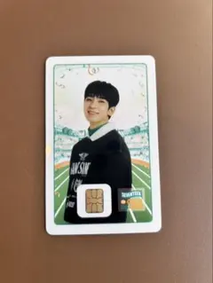SEVENTEEN CARAT LAND ウォヌ　NAMANEカード2025