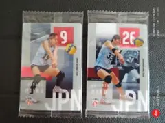 ツインウエハース バレーボール女子日本代表 岩澤実育 秋本美空 トレカ