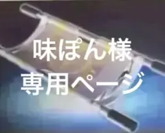 味ぽん様　専用ページ　まとめ売り