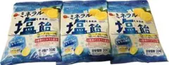 ブルボン ミネラル塩飴 グレープフルーツ味 20粒入 3袋セット 熱中症対策