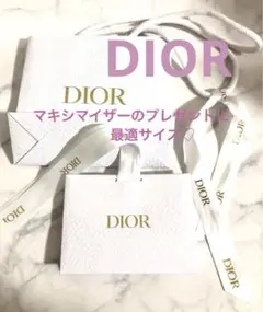 Dior ショッパー　 【レザー調】　マキシマイザー　ギフト袋