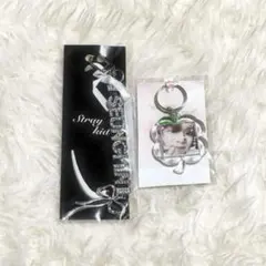 straykids スンミン キーリング