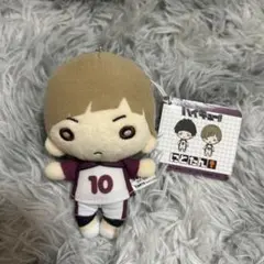 2026年最新】白布 にとたん ぬいぐるみの人気アイテム - メルカリ