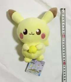 ポケピース ぬいぐるみ Starry Night 피카츄 포켓몬