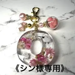 5486☆ シン様専用