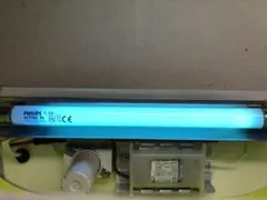 PHILIPS TL 6W ACTINIC BL 捕虫器用ランプ　フィリップス