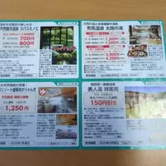 天然温泉スパミノエ 入浴券 　有馬温泉太閤の湯　温泉　割引チケット