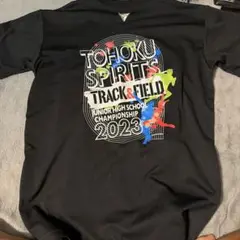 限定値下 希少品　Mizuno HIGASHIFUKUOKA Tシャツ 東福岡 限定値下 希少品 Mizuno HIGASHIFUKUOKA Tシャツ 東福岡 - メルカリ