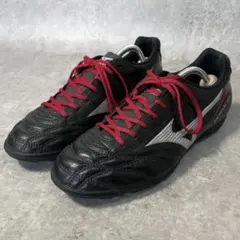 モナルシーダ 26.5