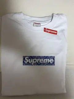 2025年最新】supreme バンダナボックスロゴ tシャツの人気