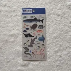 카이유칸 인감 스티커 바다 생물 물개