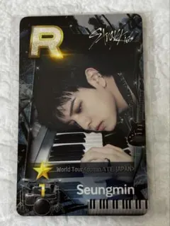 【スンミン/Seungmin】SSJYPシュスジュ リアルカード トレカ
