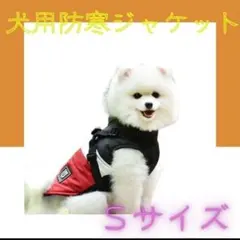 Item thumbnail for item 2052a890-7a60-4875-aa49-bbb90cfb8819