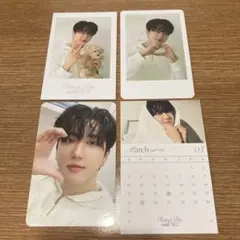 シーグリ チャンビン トレカ