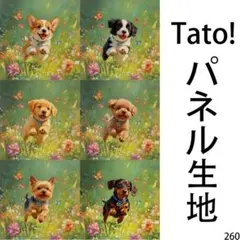 Tato !(=^・^=)パネル生地 花畑を駆ける小さな冒険者 D260