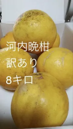 晩柑 家庭用訳あり 箱込み8〜9キロ - メルカリ