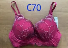 aimerfeel エメフィール 楽ブラ グランペタル C70