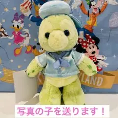 カラフルハピネス　オルメル　ポージープラッシー