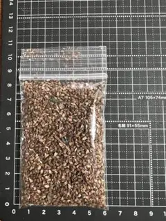 【無農薬栽培】　藍の種　蓼藍　藍染め　タデアイ　草木染め