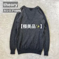 【極美品✨】セオリー　カシミヤ100%　vネックニット　グレー　S　長袖
