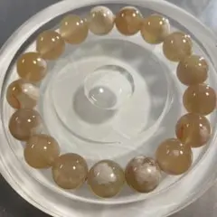 Item thumbnail for item 98f81bd5-0b46-4142-b428-63338f7dcb85